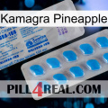 Kamagra Pineapple new15